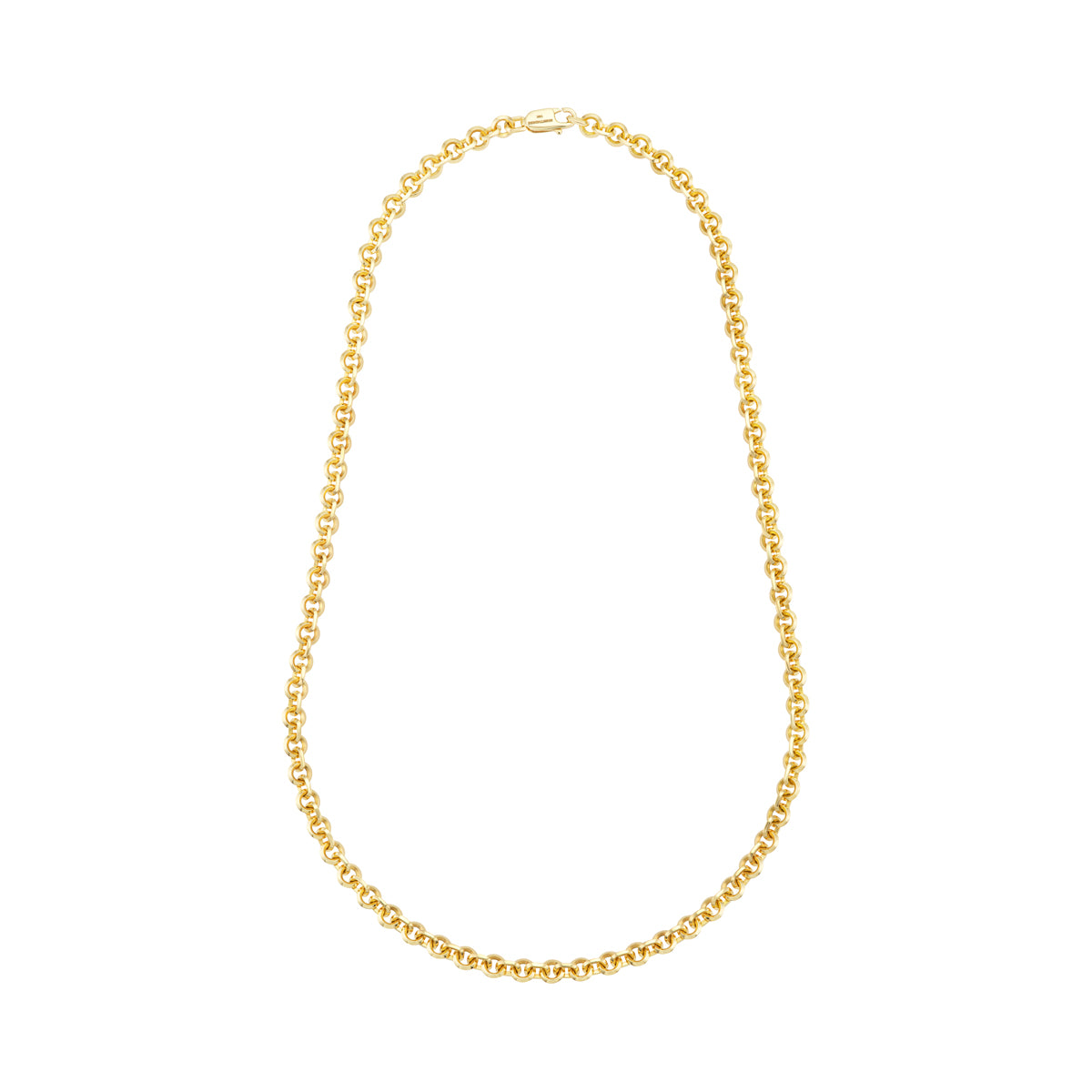 Nighthorse Jewelry. Ben Nighthorse Campbell. Gold Chain