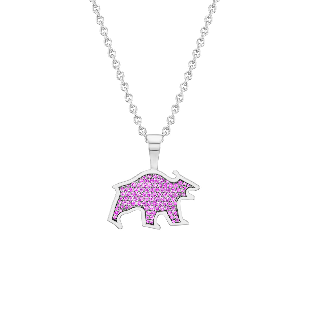 Nighthorse Jewelry. Ben Nighthorse Campbell. Necklace